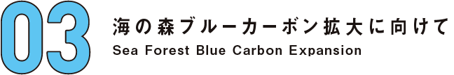 03 海の森ブルーカーボン拡大に向けて Sea Forest Blue Carbon Expansion