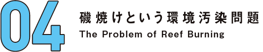 04 磯焼けという環境汚染問題 The problem of reef burning