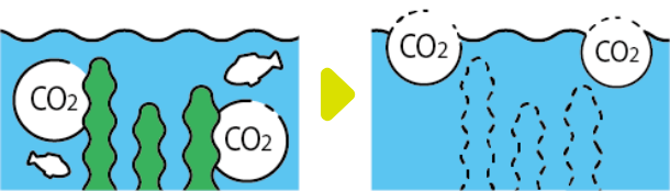CO2吸収量の減少イメージ図