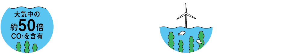 海洋全体のCO2の量は大気中の約50倍